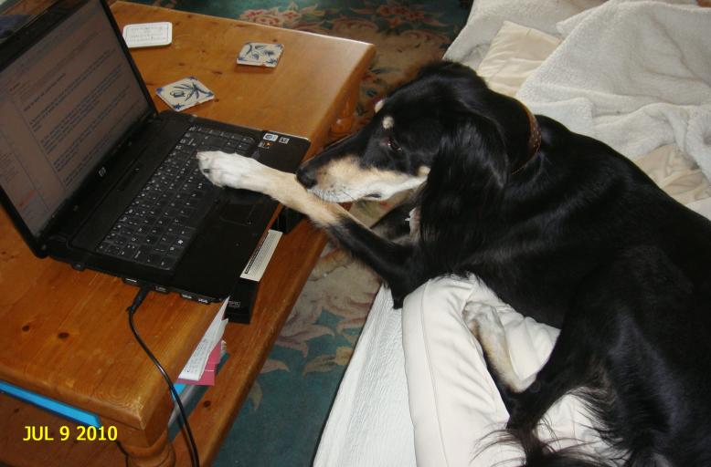 coco reading Zola funnies