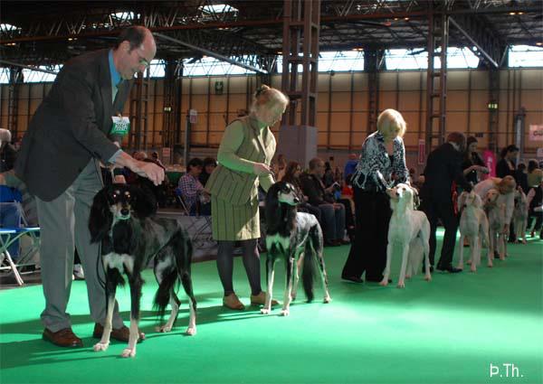 crufts coco