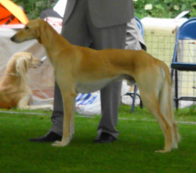 pip at sghc open 2009