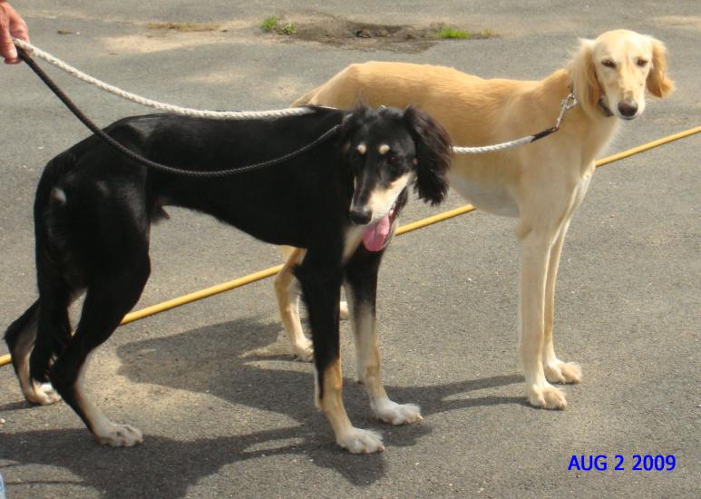 pip & coco at e port