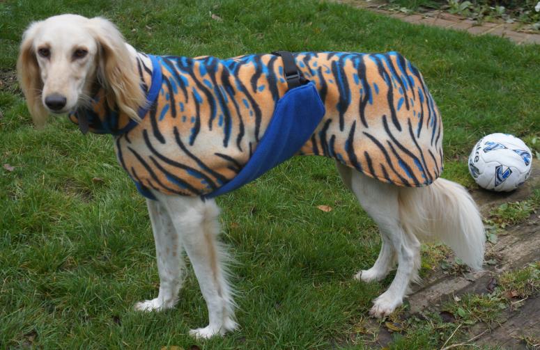 tammas tiger coat tammas tiger coat