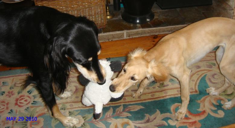 tuppence and coco toy tuppence and coco toy