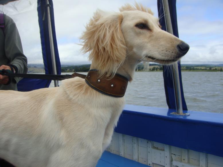 boat 2