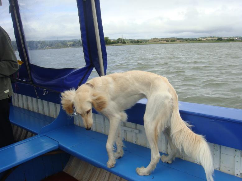 boat