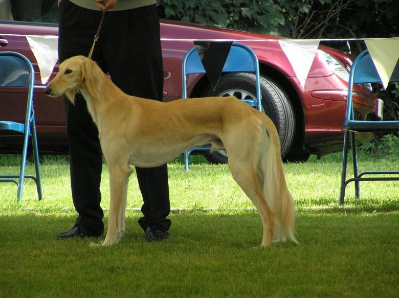 Kathy's photo of Pip