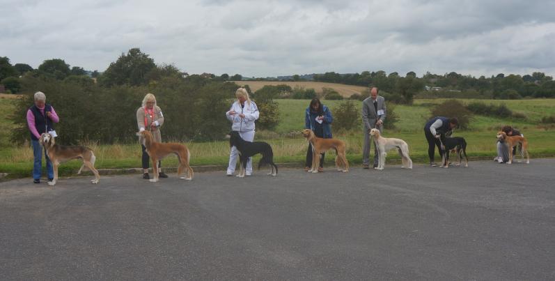 nsc open 2012 dog line up nsc open 2012 dog line up